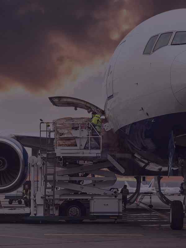 https://logistics.resurgam.site/wp-content/uploads/2017/03/service_cell_inner_08.jpg