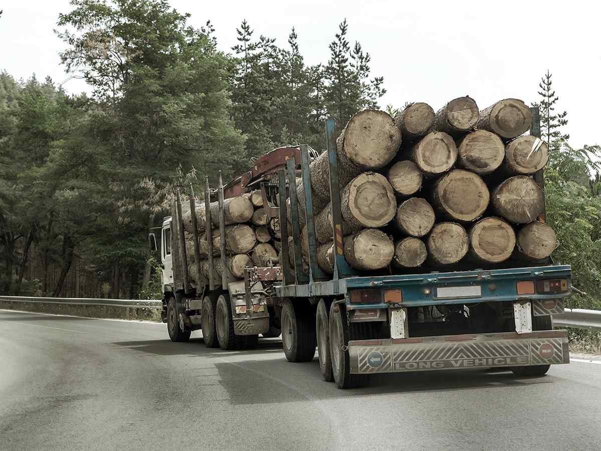 https://logistics.resurgam.site/wp-content/uploads/2017/08/inner_big_trucks_01.jpg